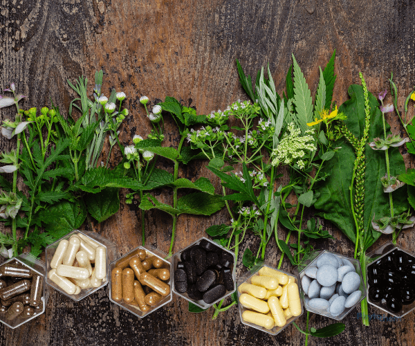 Dietary Supplement capsules made from herbal plants