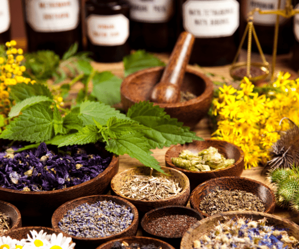 Ingredients of herbal medicines.